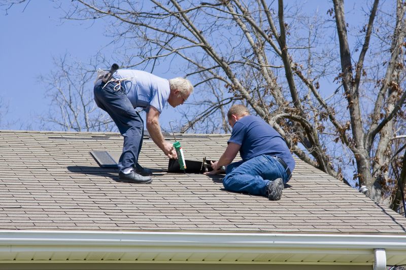 Asphalt Shingle Repair Professional at Work
