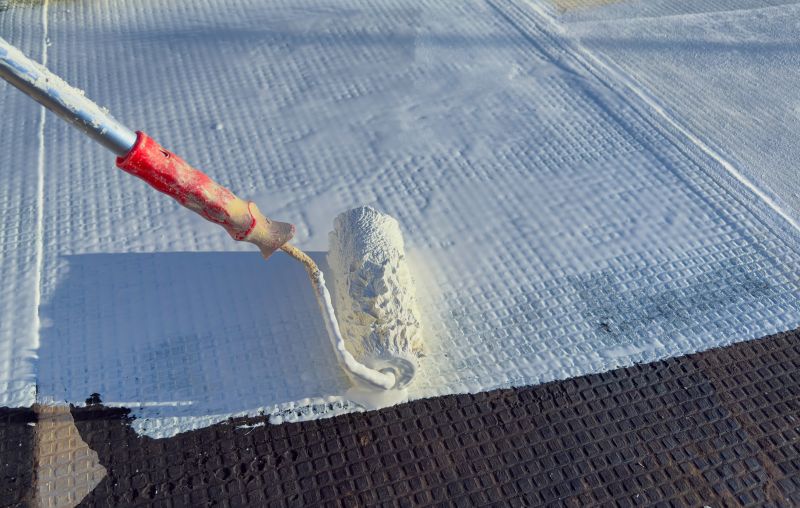 Tpo Roof Coating Service